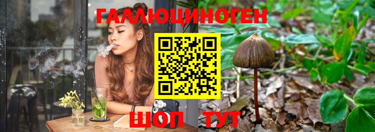 Галлюциногенные грибы GOLDEN TEACHER Магнитогорск