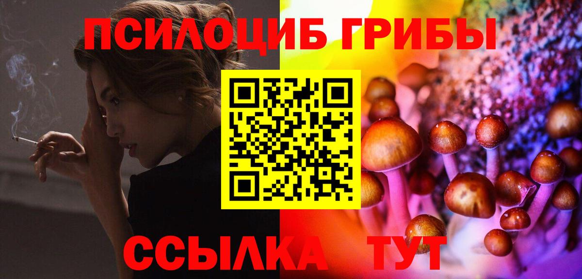 продажа наркотиков  Вход с VPN  Магнитогорск  Псилоцибиновые грибы Psilocybe 